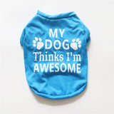 Summer pet clothes