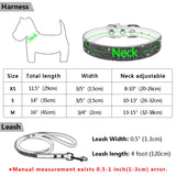 Pet Collar Leash Set